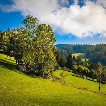 Schirla Stub'm Appartamento *